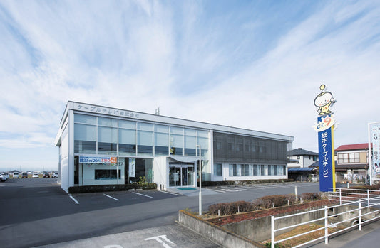 Case Study: CableTV Co, Ltd